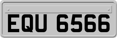 EQU6566