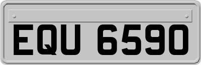 EQU6590