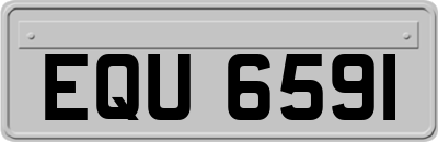 EQU6591