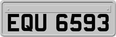 EQU6593