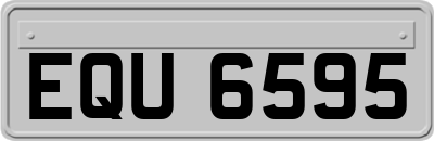 EQU6595