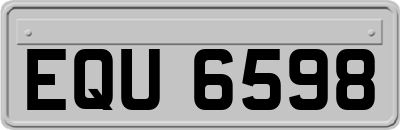 EQU6598