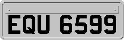 EQU6599