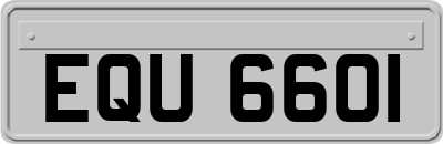 EQU6601
