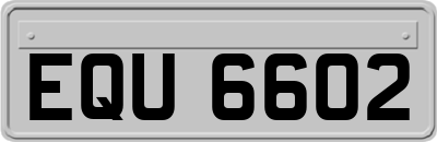EQU6602