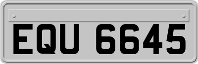 EQU6645