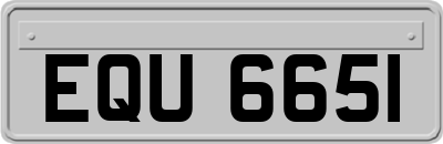 EQU6651