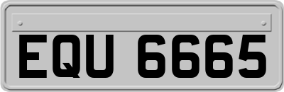 EQU6665