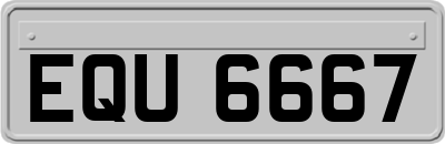 EQU6667