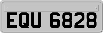 EQU6828