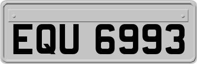 EQU6993