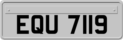 EQU7119