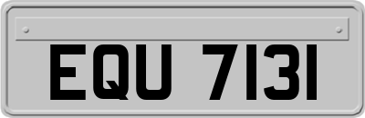 EQU7131