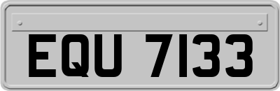 EQU7133