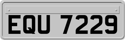 EQU7229