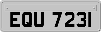 EQU7231