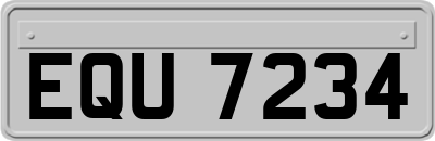 EQU7234