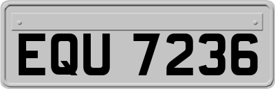 EQU7236