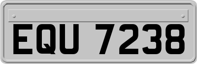 EQU7238