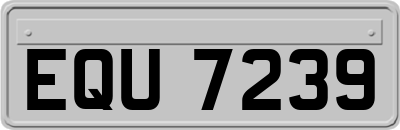 EQU7239
