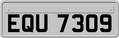 EQU7309