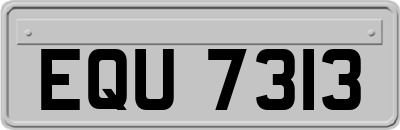 EQU7313