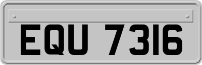 EQU7316