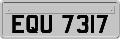 EQU7317