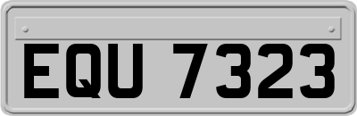 EQU7323