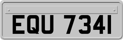 EQU7341