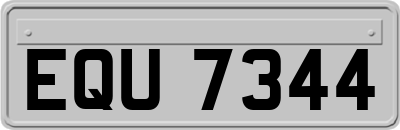 EQU7344