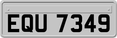 EQU7349