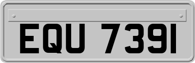 EQU7391