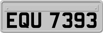 EQU7393