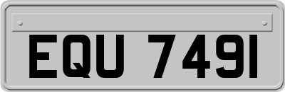 EQU7491