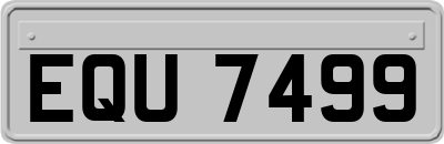 EQU7499