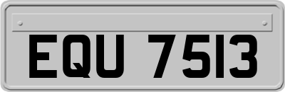 EQU7513