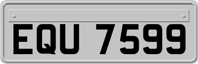 EQU7599