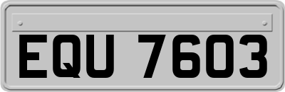 EQU7603