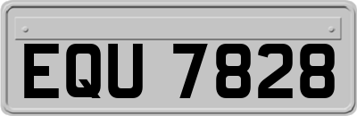 EQU7828