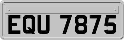EQU7875