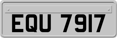 EQU7917