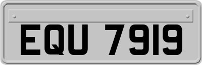 EQU7919