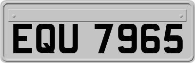 EQU7965