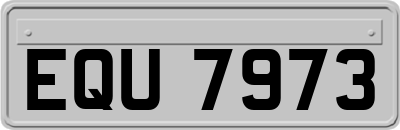 EQU7973