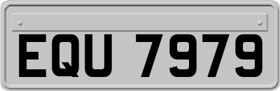 EQU7979
