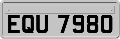 EQU7980
