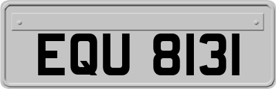 EQU8131