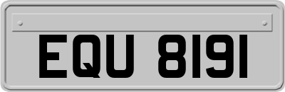 EQU8191