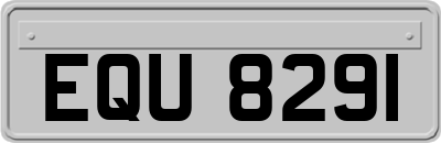 EQU8291